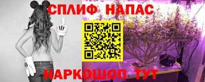 тгк Анжеро-Судженск
