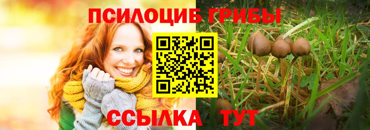 Галлюциногенные грибы GOLDEN TEACHER Гуково