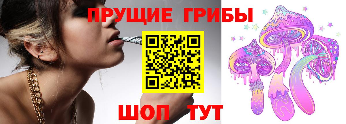 дарнет шоп  Вход с VPN  Гуково  Псилоцибиновые грибы MAGIC MUSHROOMS 
